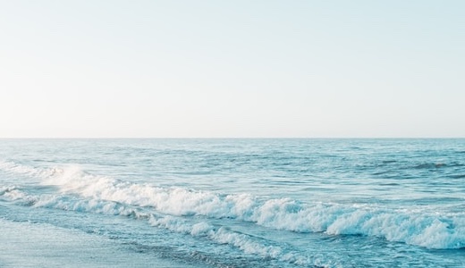 偶然の出会いを楽しむ東京